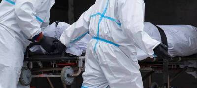 Жизни 1100 человек в Карелии унесла пандемия коронавируса