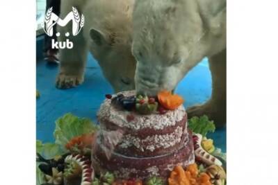 Медвежата из сафари-парка в Геленджике отметили первый день рождения