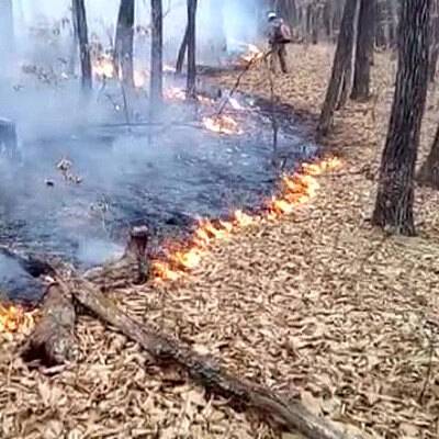 Регионы Дальнего Востока получат почти 6 млрд рублей на борьбу с лесными пожарами