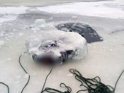 На южноуральском водоеме подо льдом обнаружили труп мужчины