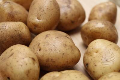 Россиян предупредили о возможном дефиците картофеля