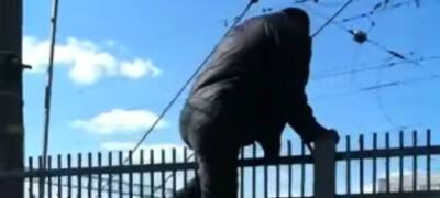«Мужик стоял, дергался, но спрыгнуть не мог»: в Петрозаводске травмированный человек висел на заборе