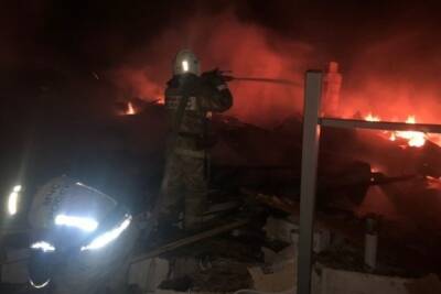 В сети появилось видео момента взрыва бытового газа в Пензе