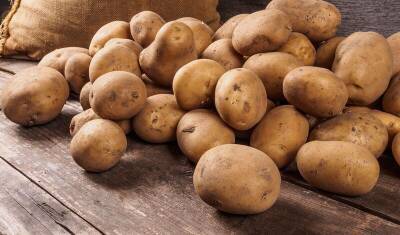 Производители опасаются дефицита картофеля в 2022 году