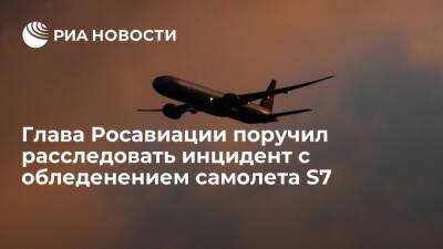Глава Росавиации Нерадько поручил расследовать инцидент с обледенением самолета S7
