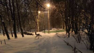 Смольный вынудил петербуржцев пользоваться платными услугами по очистке дворов от снега