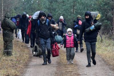 Минобороны Польши: миграционный кризис может охватить всю восточную границу