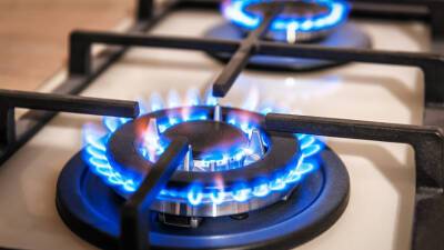 Россиянам может грозить крупный штраф за недопуск газовиков в жилье