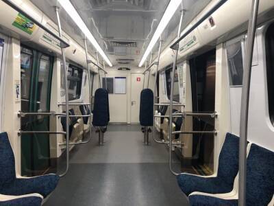 Поезда на синей ветке метро игнорируют станцию «Озерки», на путях пассажир