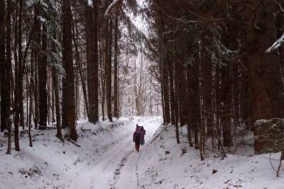 Потерялся во время катания на снегоходах: в Карпатах вторые сутки ищут туриста