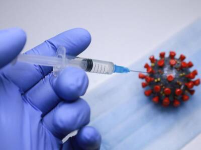 «Готовились к Эболе»: известный биолог объяснила быстрое создание вакцин от COVID-19