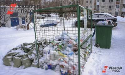 Депутат о банкротстве регоператора: «В новогодние праздники Новосибирск погрязнет в мусоре»