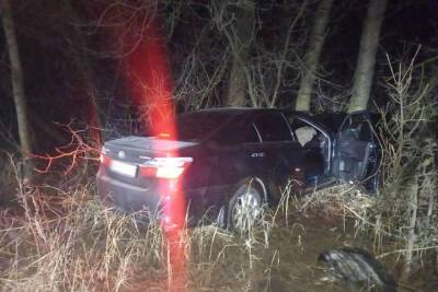 В Моршанске водитель иномарки врезался в дерево: пострадали два человека