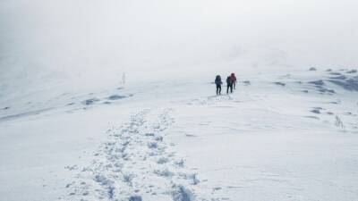 Около тридцати туристов попали в снежную ловушку в тайге