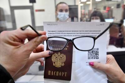 Ульяновские депутаты поддержали федеральный закон о QR-кодах