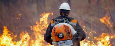 Приморскому краю на борьбу с природными пожарами выделят 200 млн рублей