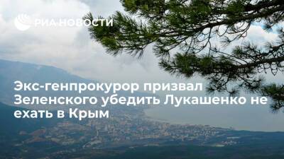 Экс-генпрокурор Пискун: Зеленскому стоит убедить Лукашенко не посещать Крым