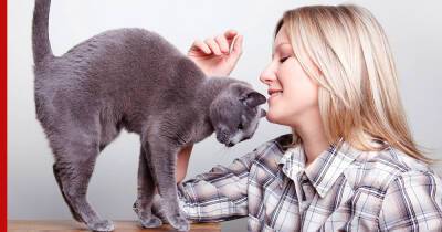 Реальная любовь: 10 признаков того, что кошка любит хозяина