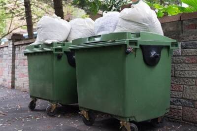 Экологи опровергли рост тарифа на вывоз отходов из-за новых правил для регоператоров