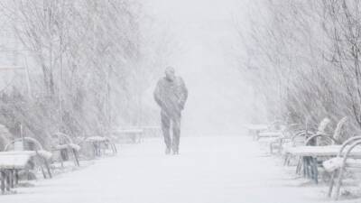 Москвичам пообещали рекордный снегопад и полную аномалий зиму