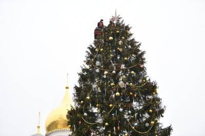 Главную новогоднюю ёлку России доставят в Москву 16 декабря