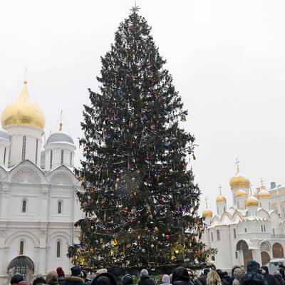 Главную новогоднюю елку страны доставят из Щёлковского района МО