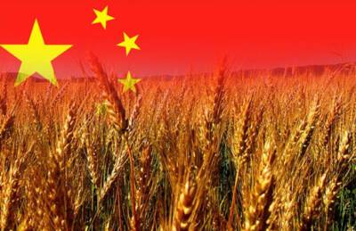 В Китае национальный рекорд — 683 млн т зерна