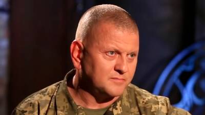 Главком ВСУ Залужный увидел будущее украинской армии в «составе НАТО»