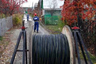 В Ярославской области электросети садоводств починят за бюджетный счет