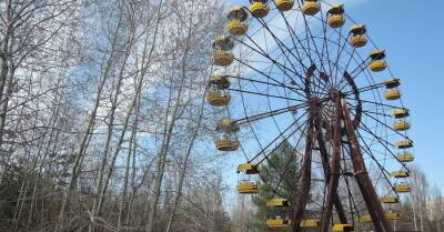 В Чернобыльской зоне впервые заметили рогатого жаворонка. Но у него нет рогов, это такой вид
