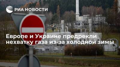 Fitch: Европе и Украине в случае нетипично холодной зимы может не хватить газа в ПХГ