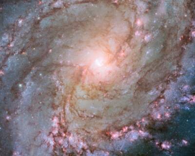 Ученые обнаружили галактику без темной материи
