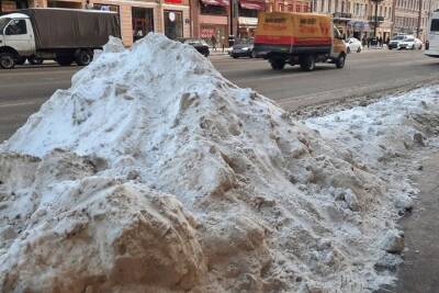 Более двух тысяч петербуржцев подписали петицию с требованием убрать снег