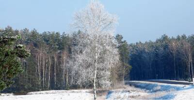 Снег и до -10°С ожидается в Беларуси 6 декабря