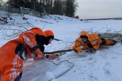 Власти Ленинградской области призвали граждан не выходить на лед водоемов