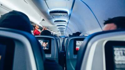Новый закон позволит экипажу самолетов применять спецсредства против дебоширов в России