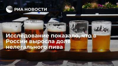 Исследование ВШЭ показало, что в России выросла доля нелегального пива