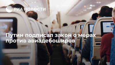 Путин разрешил экипажам самолетов применять спецсредства сдерживания против авиадебоширов