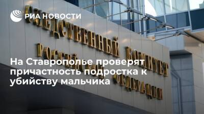 СК по Ставропольскому краю проверит причастность подростка к убийству 13-летнего мальчика