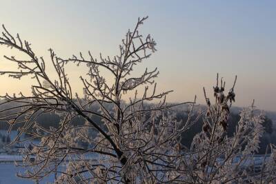 В Башкирию 7 декабря придут морозы
