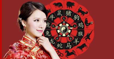 Китайский гороскоп: знаки зодиака, которым больше всего повезет в 2022 году