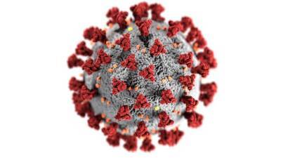 Академик сравнил появление новых штаммов коронавируса с автогонкой