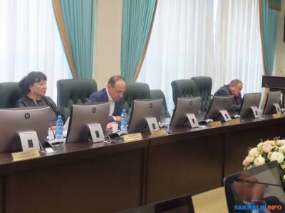 Проблемы животных на самовыгуле вновь взволновали сахалинских депутатов