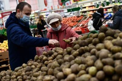 Аналитики предупредили о дефиците картофеля в России в 2022 году