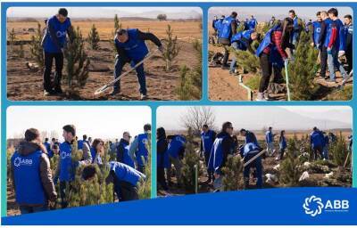 Банк АВВ провел акцию по посадке деревьев в Агдаме! - trend.az - Азербайджан - Агдам