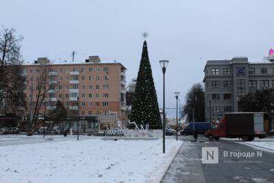 Новогоднюю елку установили на площади Горького в Нижнем Новгороде
