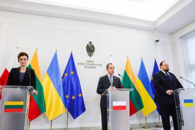 Парламентарии Литвы, Польши и Украины осудили поведение России и Беларуси