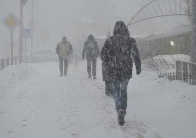 В ближайший час на Рязанскую область обрушится снегопад