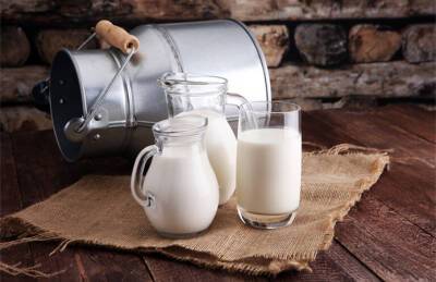 Эксперт: Рост цены на молоко разрушит молокоперерабатывающую отрасль