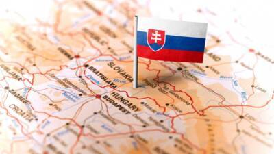 В Словакии симпатию к России назвали главной угрозой для страны